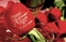 Xpressive Roses preview